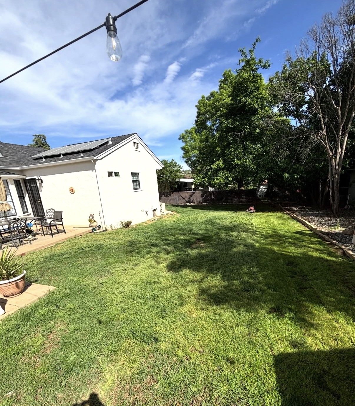 Healthy green backyard lawn after professional maintenance