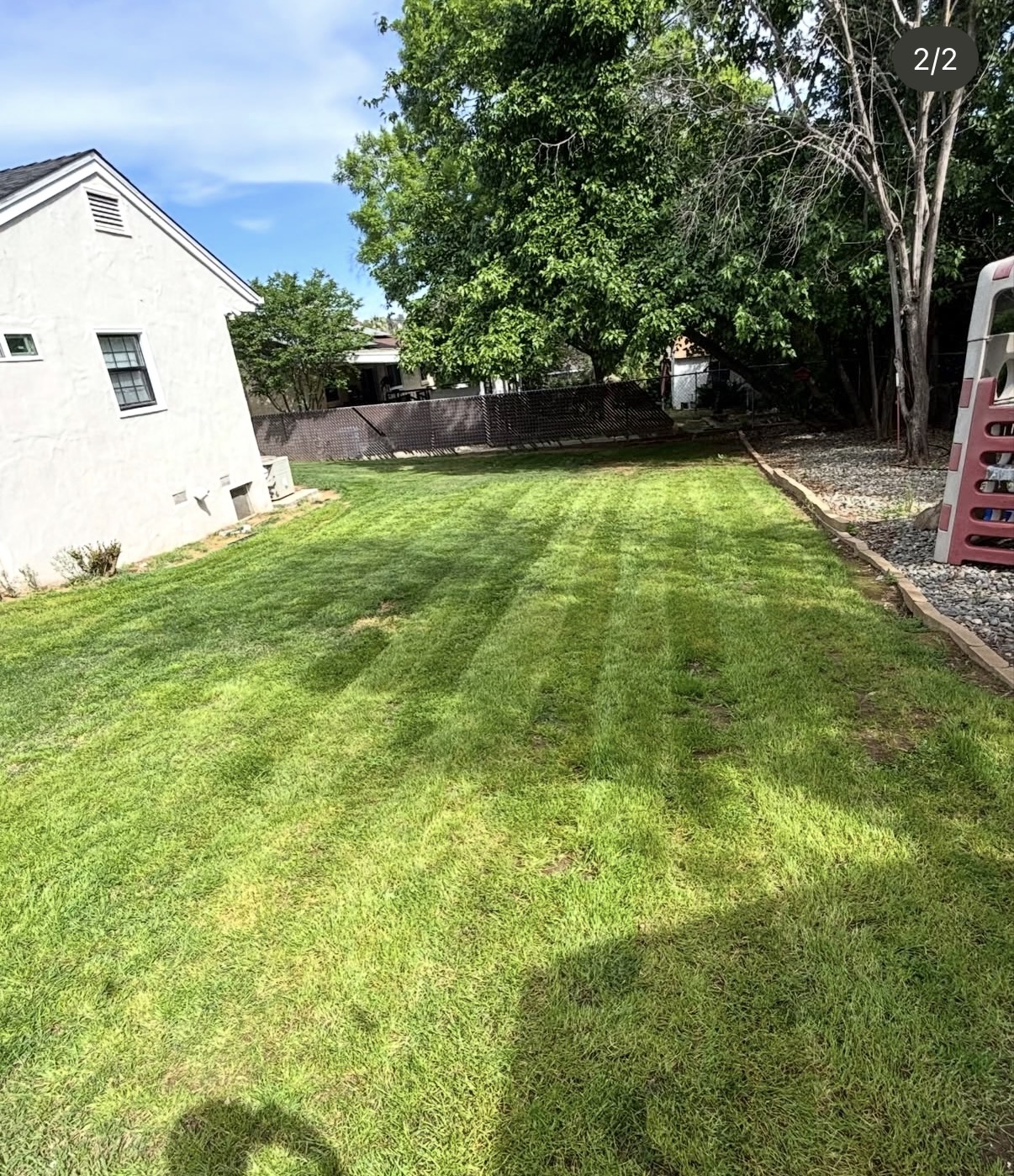 Before and after lawn transformation