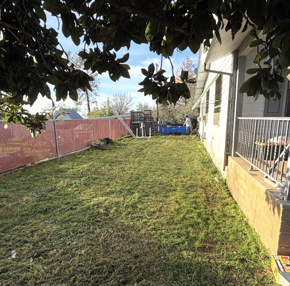 Manicured shrubs in front of a home