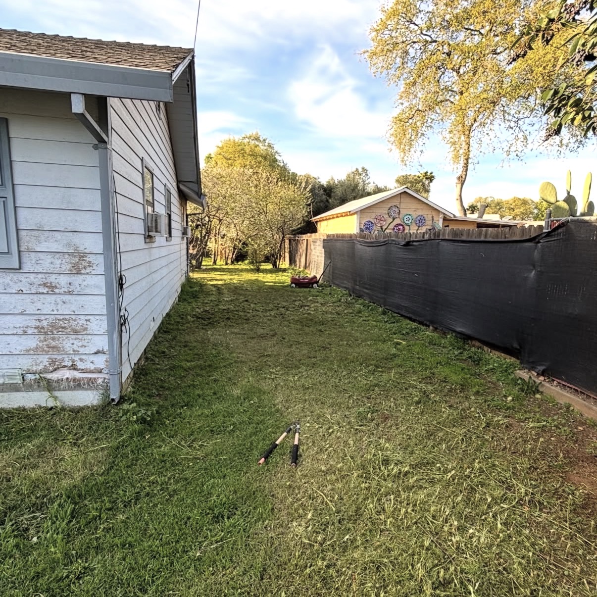 Same side yard after professional cleanup